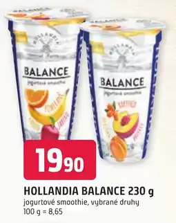 Trefa HOLLANDIA BALANCE 230 g nabídka