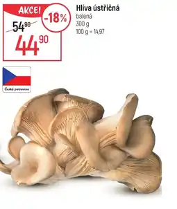 Globus Hlíva ústřičná nabídka