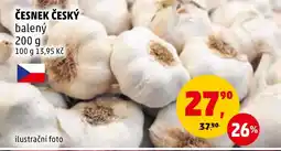 Penny Market ČESNEK ČESKÝ nabídka