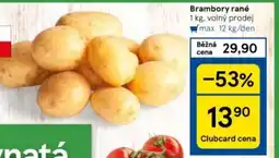 Tesco Brambory rané nabídka
