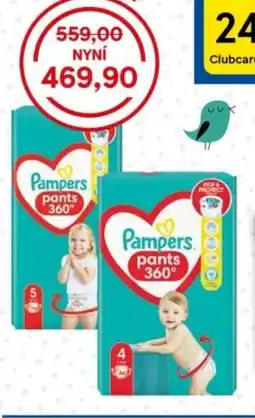 Tesco Pampers Plenkové kalhotky nabídka