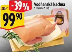 Albert Vodňanská kachna nabídka