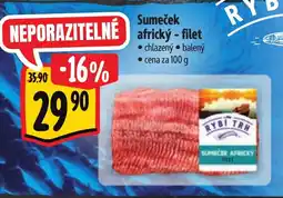 Albert Sumeček africký - filet nabídka