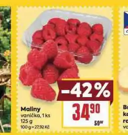 Billa Maliny nabídka