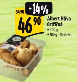Albert Albert Hlíva ústřičná nabídka