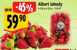 Albert Albert Jahody nabídka