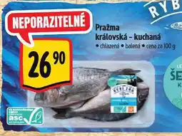 Albert Pražma královská kuchaná nabídka