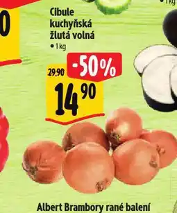 Albert Cibule kuchyňská žlutá nabídka