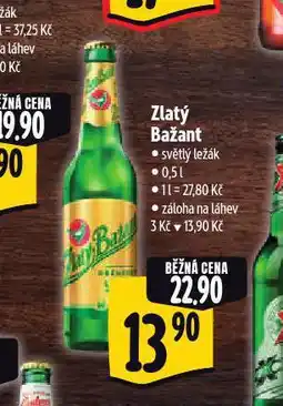 Albert Pivo zlatý bažant nabídka