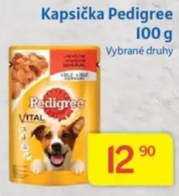 Kubík potraviny Kapsička Pedigree 100 g nabídka