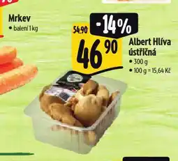 Albert Hlíva ústřičná nabídka