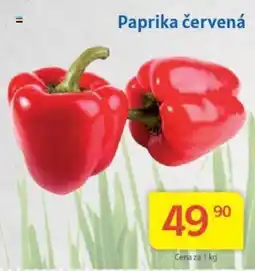 Kubík potraviny Paprika červená nabídka