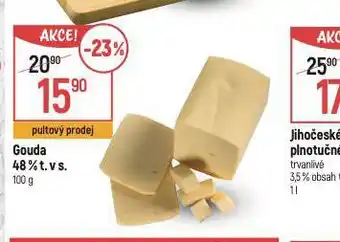 Globus Gouda 48% nabídka