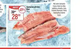 Globus Sumeček africký filet nabídka
