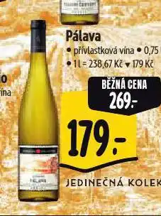 Albert Pálava nabídka