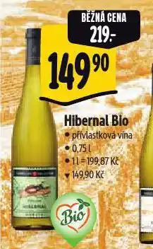Albert Hibernal bio nabídka
