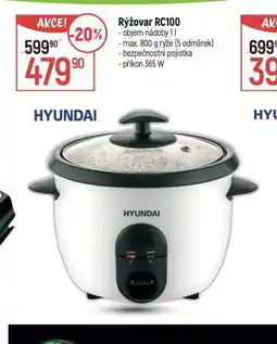 Globus Rýžovar hyundai nabídka