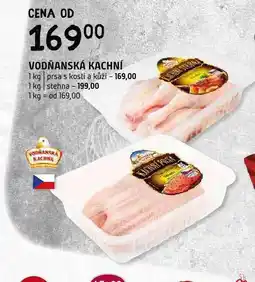 Terno Kachní prsa nabídka