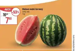 Globus Meloun vodní červený nabídka