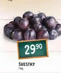 Terno Švestky nabídka