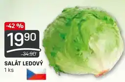 Flop SALÁT LEDOVÝ nabídka