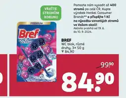 Rossmann Bref wc blok nabídka
