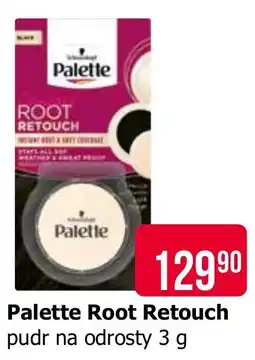 Teta Palette Root Retouch nabídka