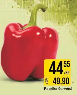 Jip Paprika červená nabídka