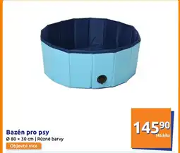 Bazén pro psy