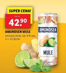 Lidl Amundsen mule nabídka