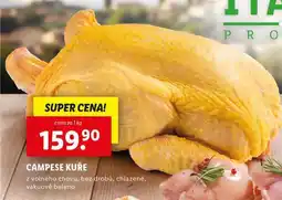 Lidl Campese kuře nabídka