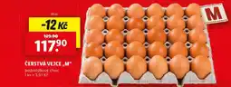 Lidl ČERSTVÁ VEJCE „M“ nabídka