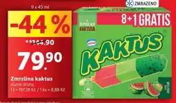 Lidl Zmrzlina kaktus nabídka