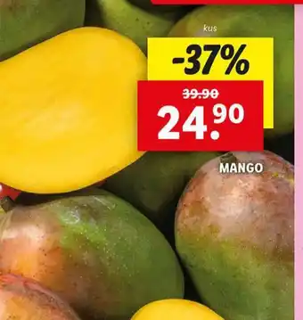 Lidl Mango nabídka