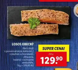 Lidl Losos obecný nabídka