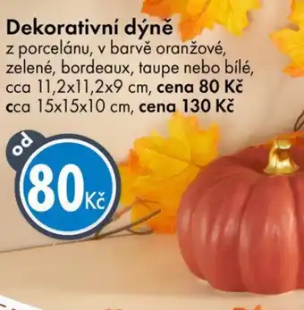 TEDi Dekorativní dýně nabídka