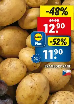Lidl BRAMBORY RANÉ nabídka