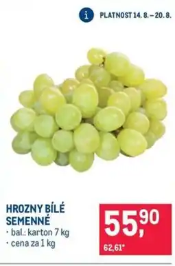 Makro HROZNY BÍLÉ SEMENNÉ nabídka