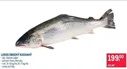 Makro LOSOS OBECNÝ KUCHANÝ nabídka
