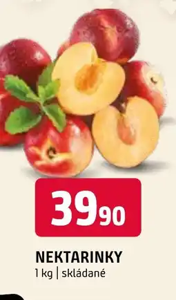 Terno NEKTARINKY nabídka