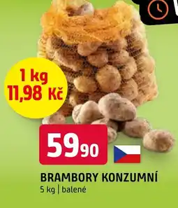 Terno BRAMBORY KONZUMNÍ nabídka