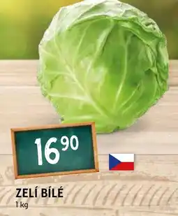 Terno ZELÍ BÍLÉ nabídka