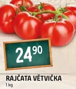 Terno RAJČATA VĚTVIČKA nabídka