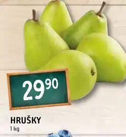 Terno HRUŠKY nabídka