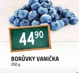 Terno BORŮVKY VANIČKA nabídka