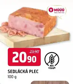 Terno SEDLÁCKÁ PLEC nabídka