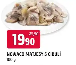 Terno NOWACO MATJESY S CIBULÍ nabídka