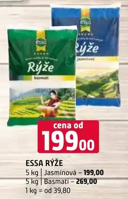 Terno ESSA RÝŽE nabídka