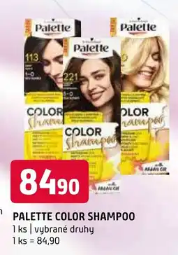 Terno PALETTE COLOR SHAMPOO nabídka