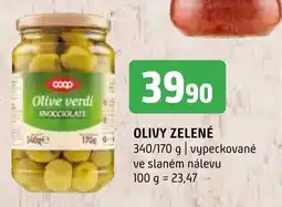 Terno OLIVY ZELENÉ nabídka